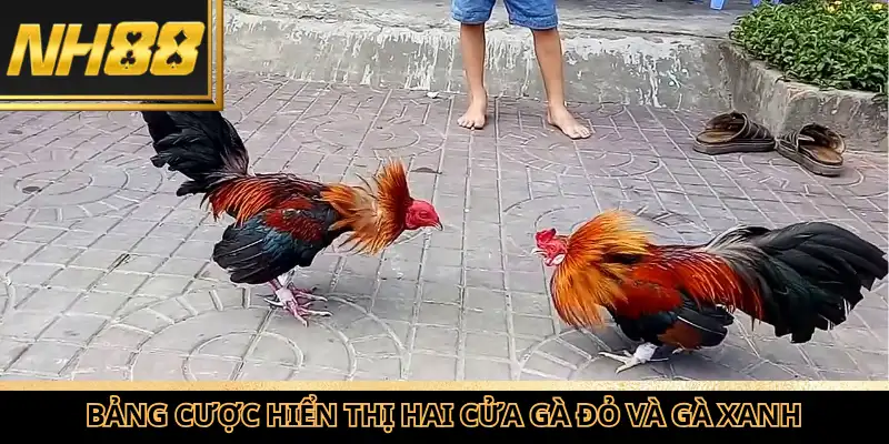 Bảng cược hiển thị hai cửa gà đỏ và gà xanh.