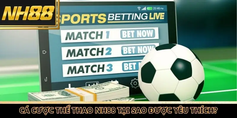 Chuyên mục cá cược thể thao NH88 tại sao được yêu thích?
