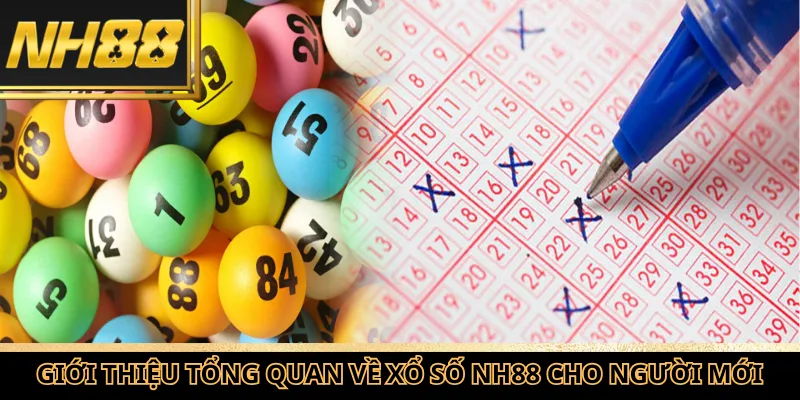 Giới thiệu tổng quan về xổ số NH88 cho người mới